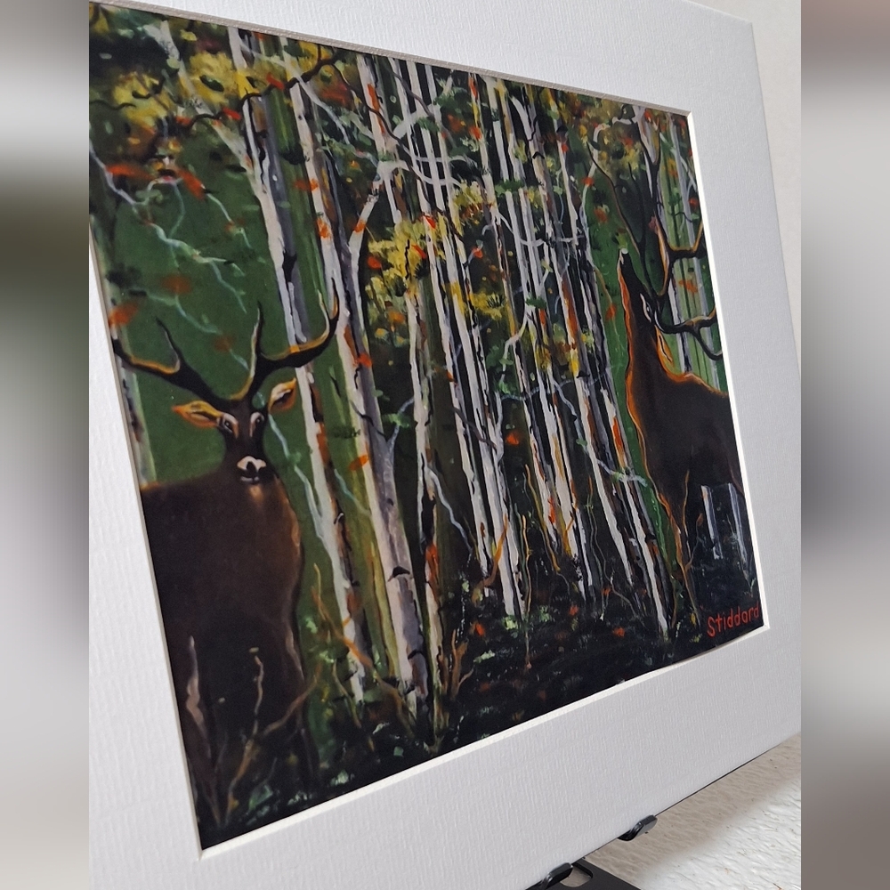 NWT  - Bucks Among The Birch Trees  5x7 Photo On 8x10 Mat By Jack E. Stiddard